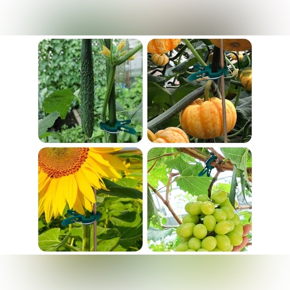 Green Plant Support Clips - Picture 2 of 5